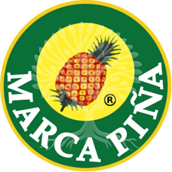 Szójaszósz - Marca Piña - 1 L